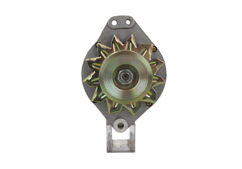 Neu Magneton Lichtmaschine passend für John 80A