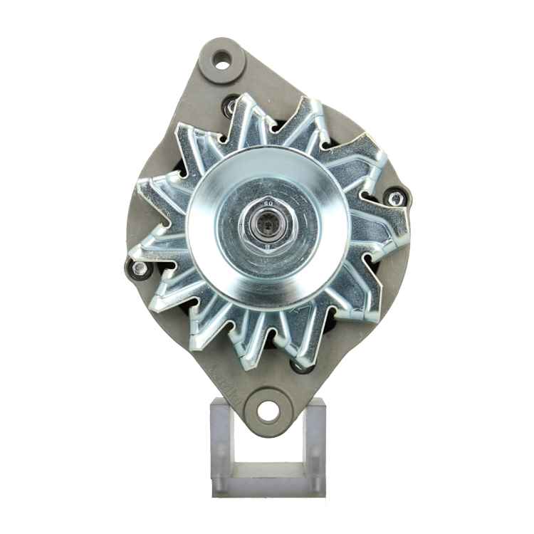 Original Neu Mahle Lichtmaschine passend für Bukh MG171 50 A