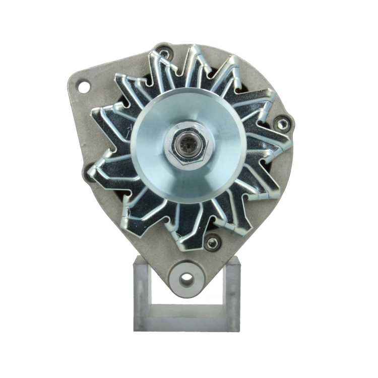 Original Neu Mahle Lichtmaschine passend für Lombardini MG620 100 A
