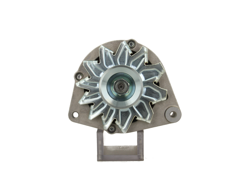 Original Neu Mahle Lichtmaschine passend für Lombardini MG720 80 A