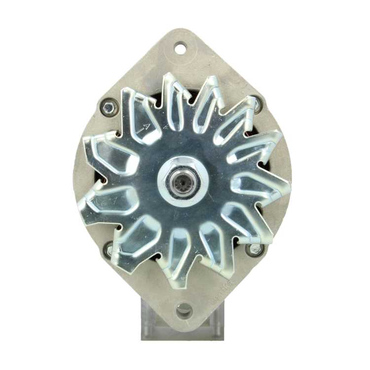 Original Neu Mahle Lichtmaschine passend für Nanni MG581 120 A