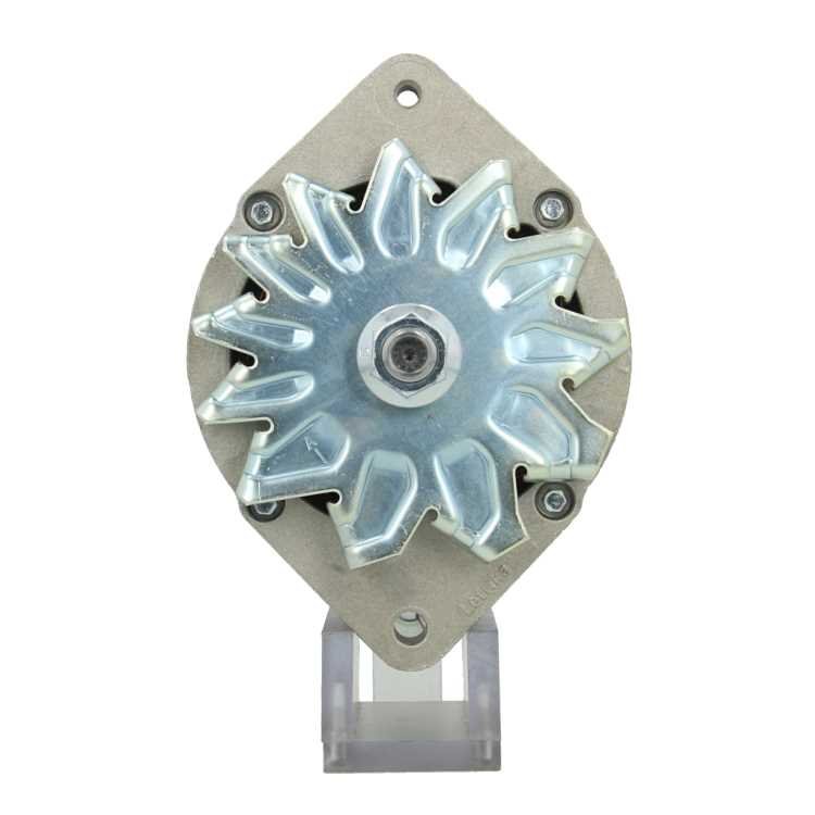 Original Neu Mahle Lichtmaschine passend für Nanni MG508 70 A