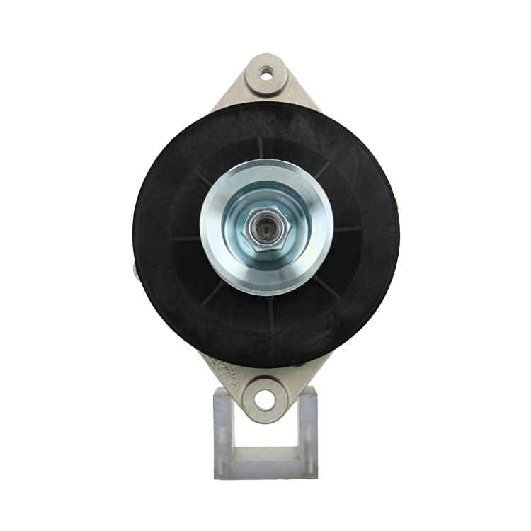 Original Neu Mahle Lichtmaschine passend für John 50A MG322 50 A