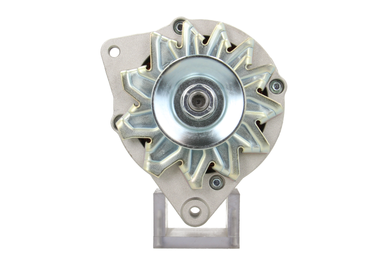 Original Neu Mahle Lichtmaschine passend für Ruggerini MG511 55 A