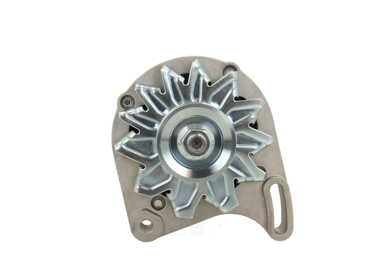 Original Neu Mahle Lichtmaschine passend für Lombardini MG441 120 A