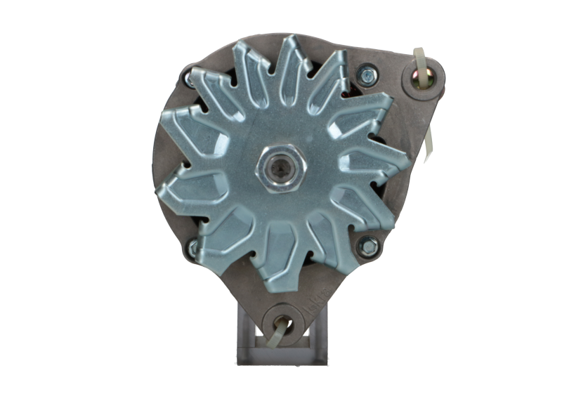 Original Neu Mahle Lichtmaschine passend für Agria MG109 55 A
