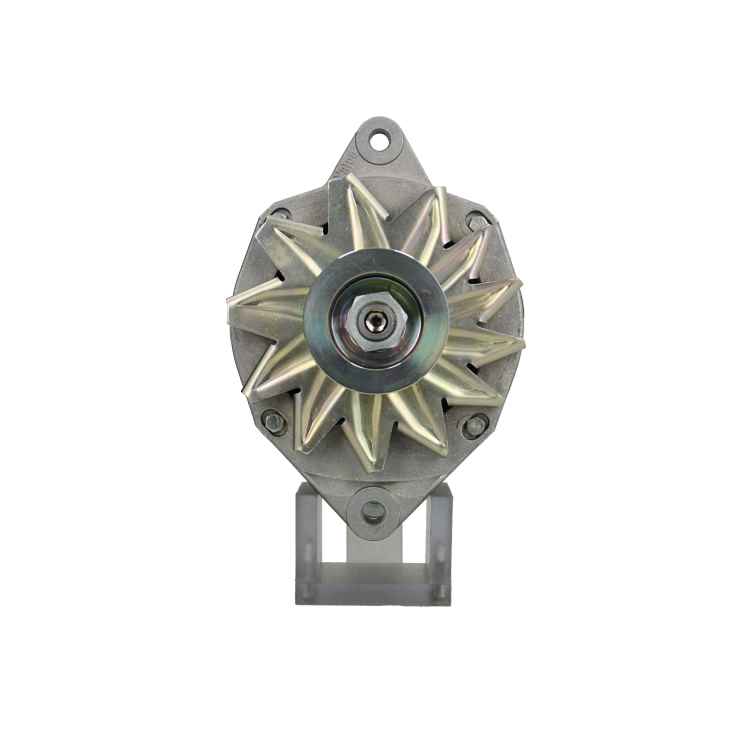Original Neu Valeo Lichtmaschine passend für Renault  19  A13N230 70 A